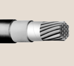 Câble d'Alimentation VITALink® 300 Type RHW-2/RW90 Résistant au Feu 1 Heure